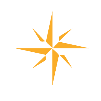 YOY